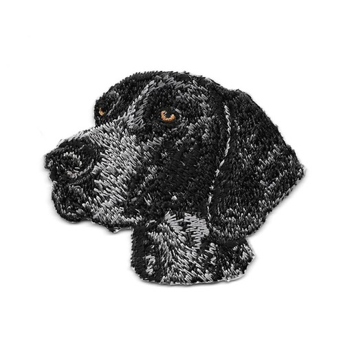 German shorthaired pointer dog - german,