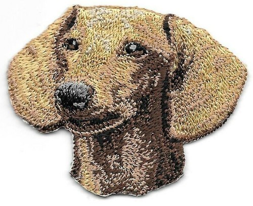 Tan dachshund dog patch head - dachshund,