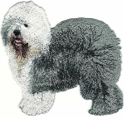 Old english sheepdog - dog, patch
