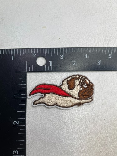 Small flying dog - small,