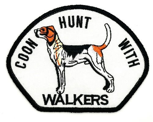 Coon hunt with walkers - hunt, hunting