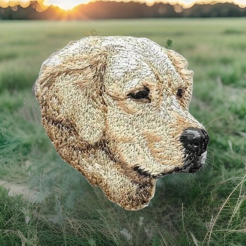 Golden retriever dog patch - golden,