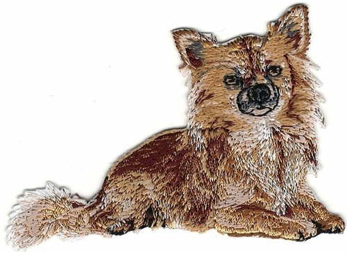 Prone chihuahua dog patch - chihuahua,